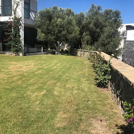 Architecture Awarded Villa With Amazing Terrace Villa